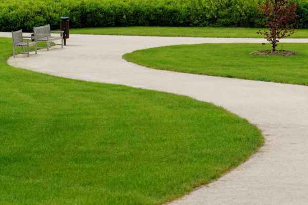 Cost of Concrete Walkway Installation in Pleasanton