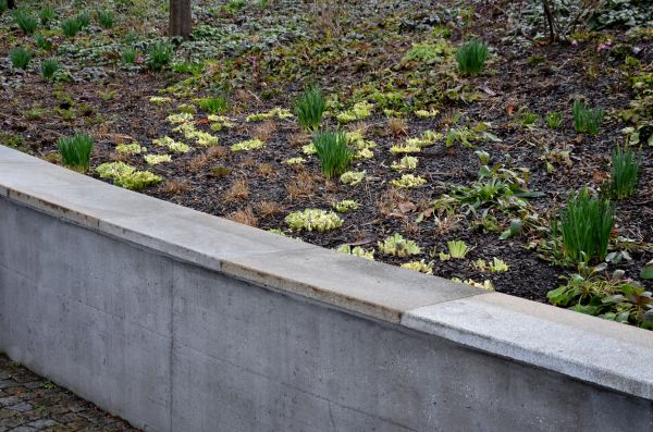 Cost of Walls Pouring Service in Pleasanton